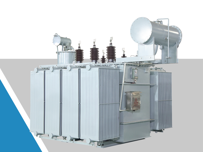 What is a double-winding OLTC oil-immersed power transformer?